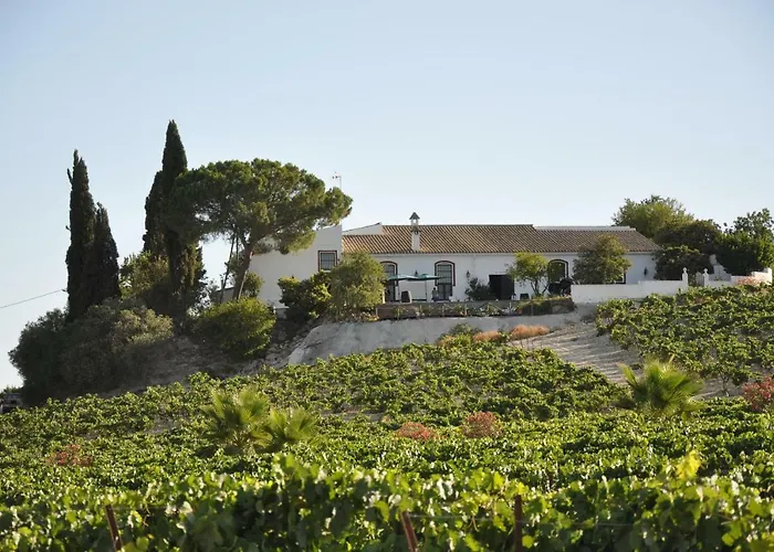 乡村民宿 Jerez Vina Santa Petronila 赫雷斯