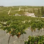Літній будинок Jerez Vina Santa Petronila *