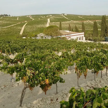 בית כפרי Jerez Vina Santa Petronila *