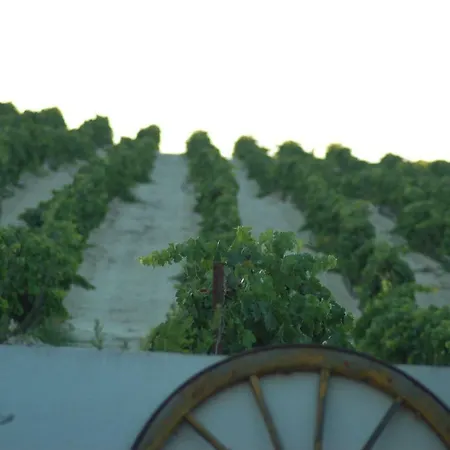 Jerez Vina Santa Petronila * Херес-де-ла-Фронтера